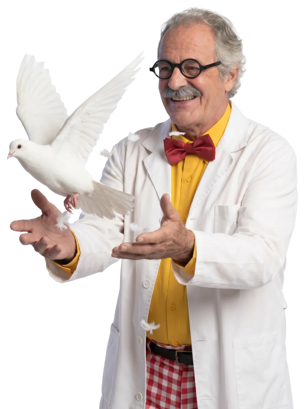 Doctori